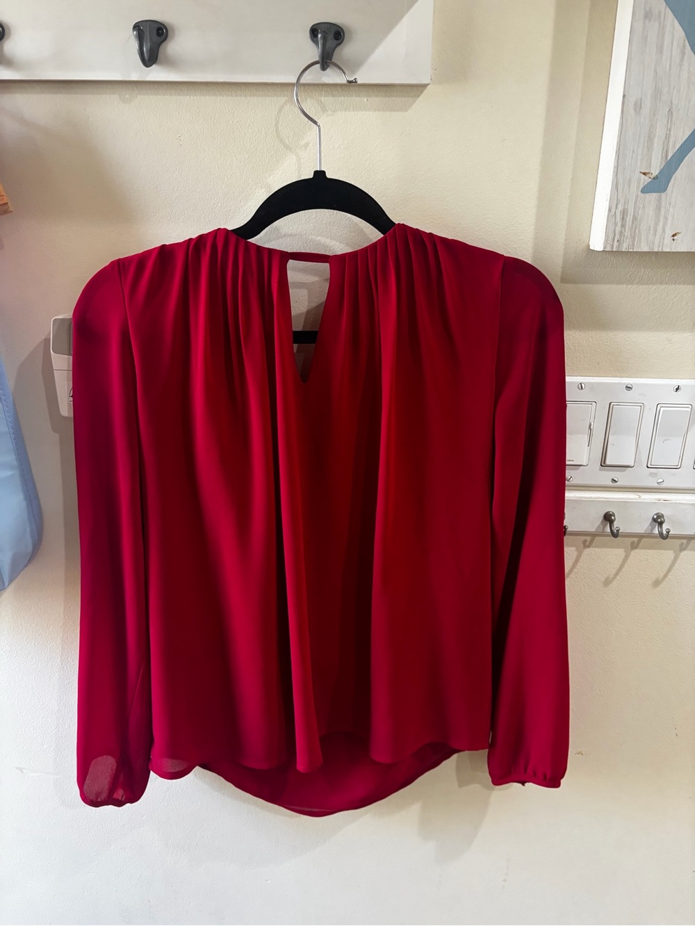 Naked Zebra Deep Red V-Neck Long Sleeve Blouse